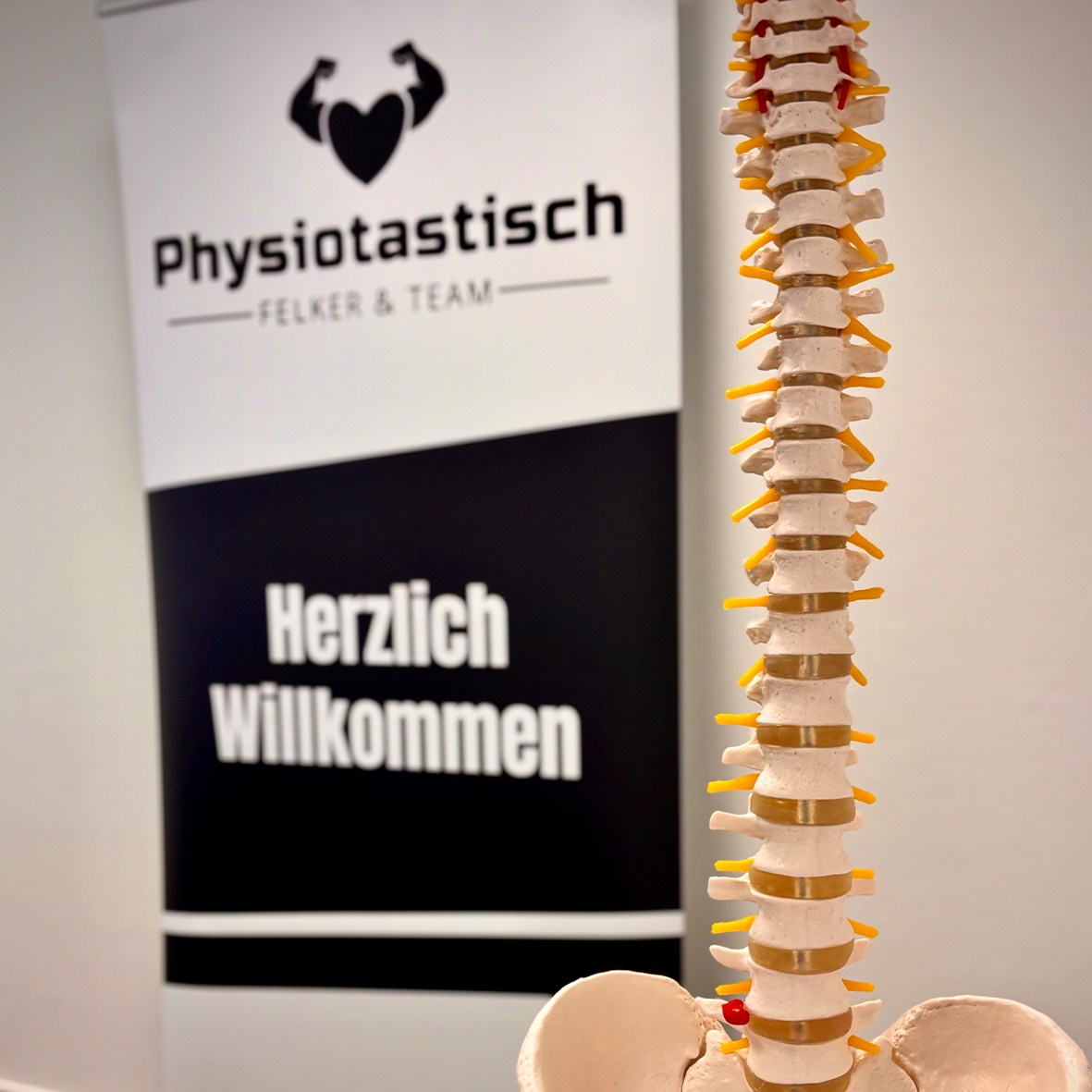 maßgeschneiderte Therapieprogramme